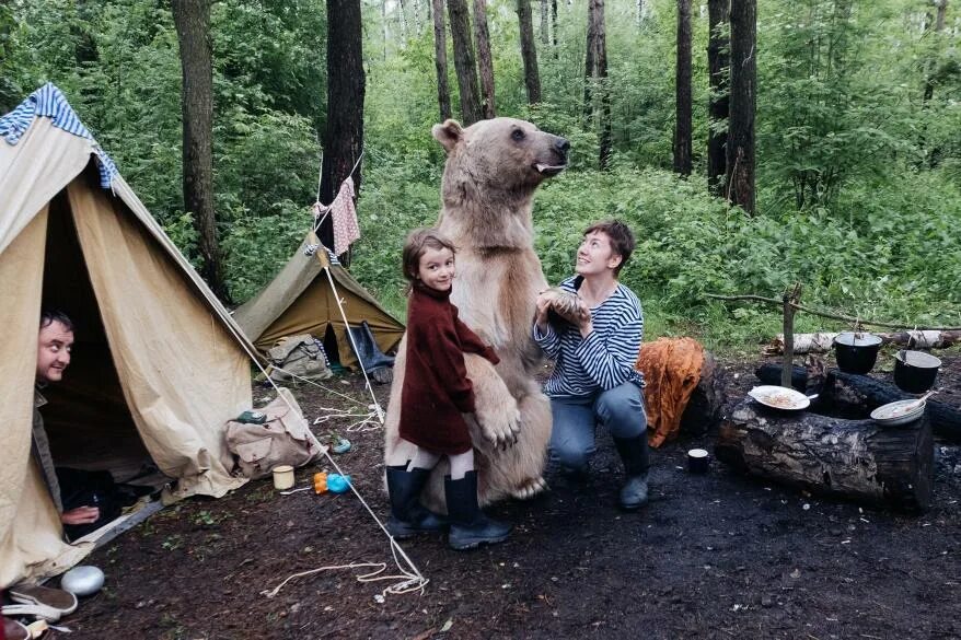 Медведь в палатке последнее фото Pet bear plays hide and seek during family camping trip