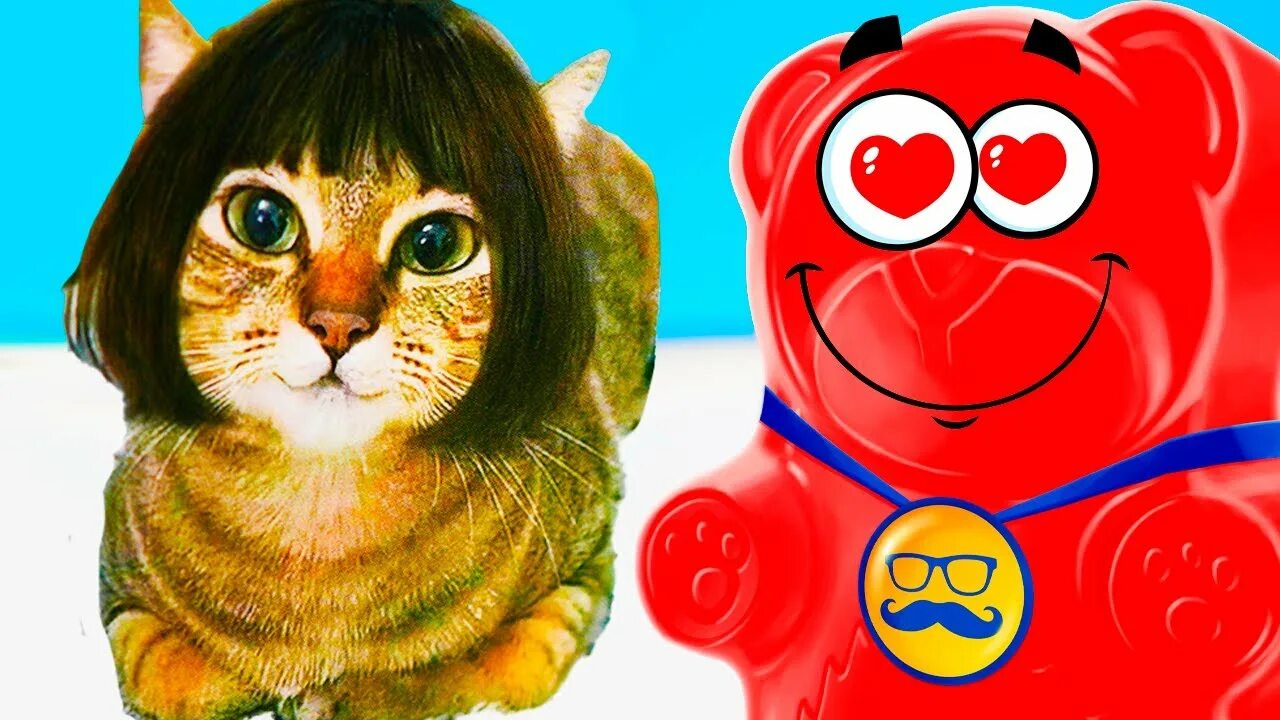 Медведь валера кто за кадром фото Купил Валерке кота !! Мурлин Мурло для медведя Валеры ! - смотреть видео онлайн 