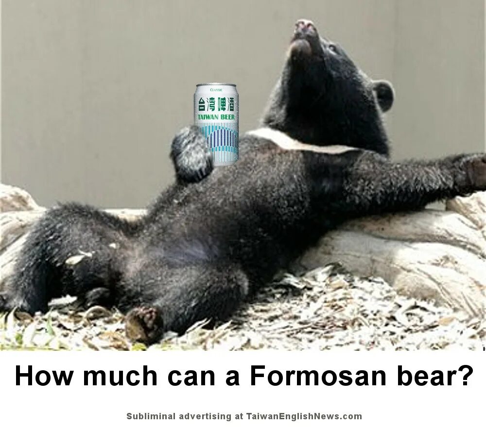 Медведь валяется фото formosan-bear - Taiwan English News