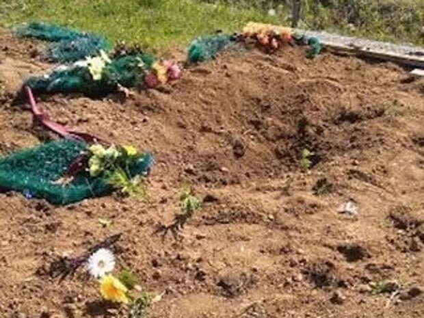 Медведь выкопал могилу фото Медведь разрыл 7 могил в Хабаровском крае - Обсуждение статьи