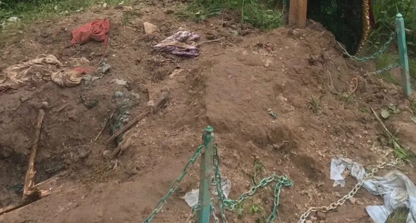 Медведь выкопал могилу фото Медведь-могильщик раскопал захоронения на кладбище в Коми