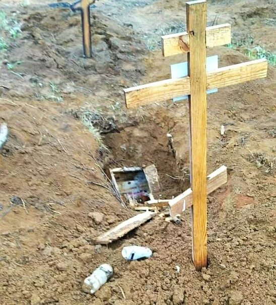 Медведь выкопал могилу фото В Ванино медведь вытащил покойника из могилы. Старожилы говорят, что это первый 