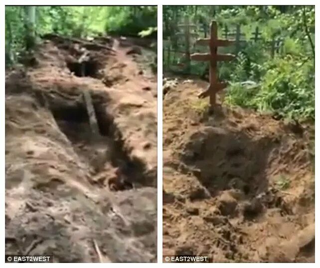Медведь выкопал могилу фото Видео: медведи раскопали кладбище на Камчатке