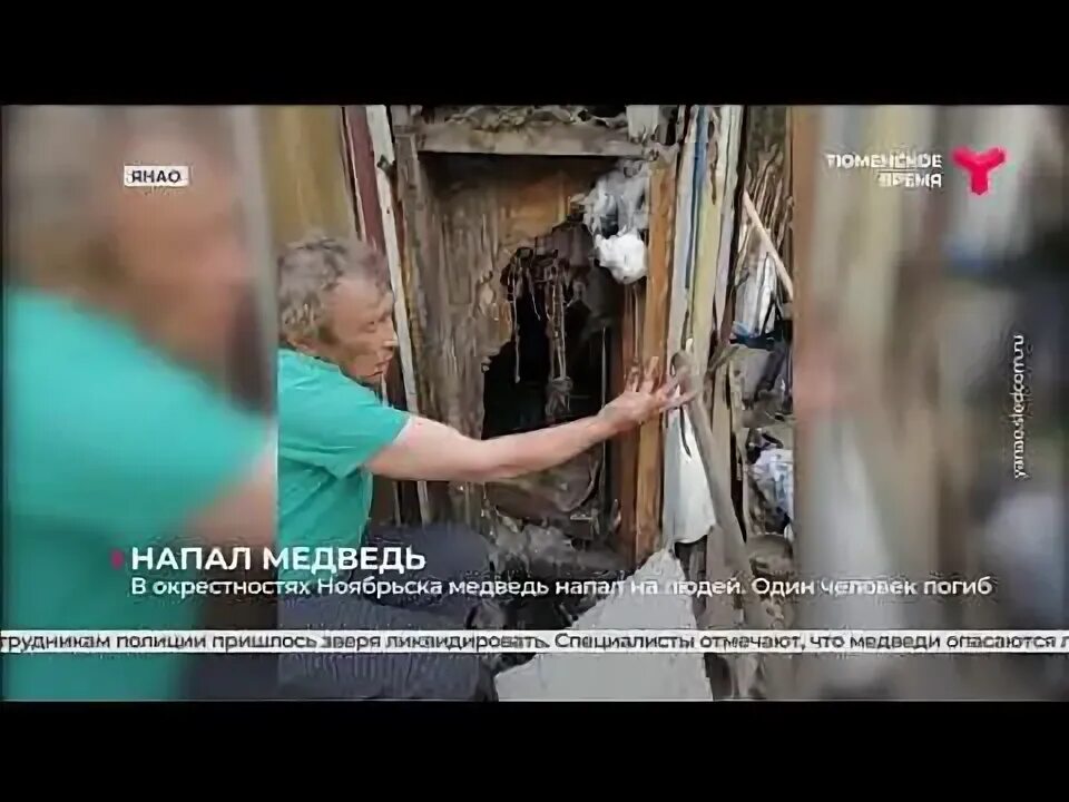 Медведь задрал человека фото НАПАЛ МЕДВЕДЬ - YouTube