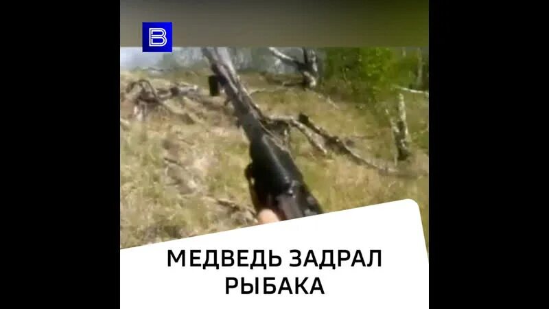 Медведь задрал двух мужчин фото Рядом с селом Тигиль на Камчатке медведь убил рыбака и закопал его тело. Ликвида