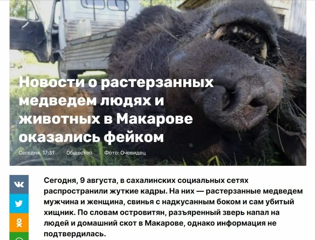 Медведь задрал двух мужчин фото Фейки и медведь - Лапша Медиа