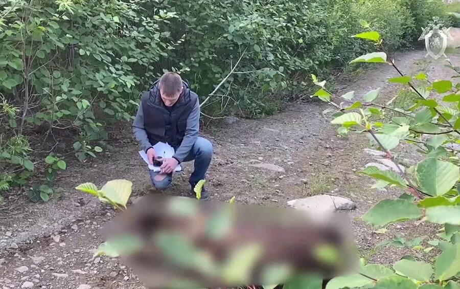 Медведь задрал мужчин в дачном домике фото Подруга убитой медведем магаданки рассказала о нападении хищника Магаданская Пра