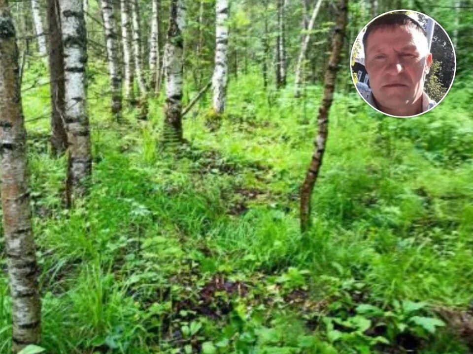 Медведь задрал мужчин в дачном домике фото В Пермском крае грибника насмерть задрал медведь - KP.RU