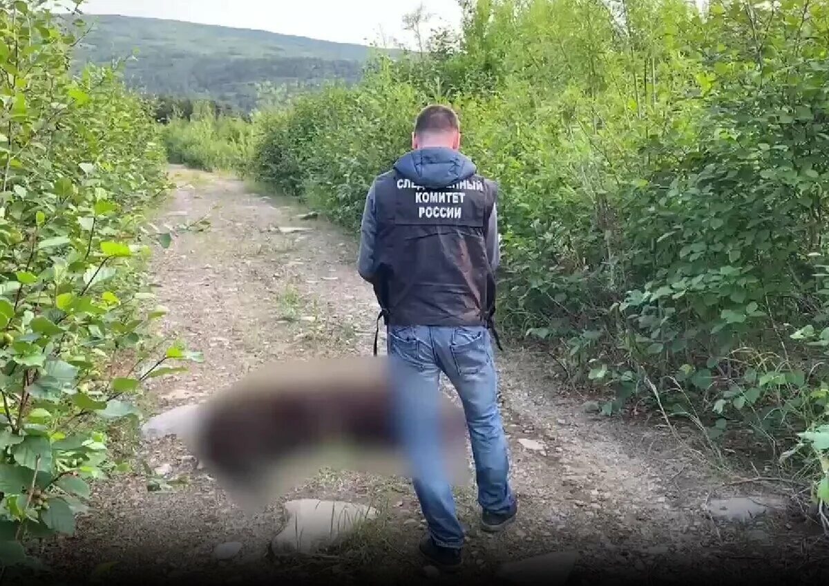 Медведь задрал мужчин в дачном домике фото Жительница Магадана рассказала, как медведь загрыз её подругу ИА Регнум Дзен