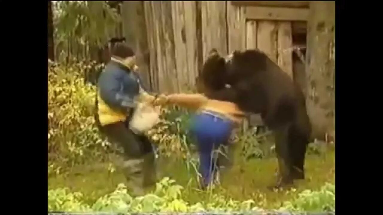 Медведь задрал мужчин в дачном домике фото wild animal attack compilation 1 - YouTube