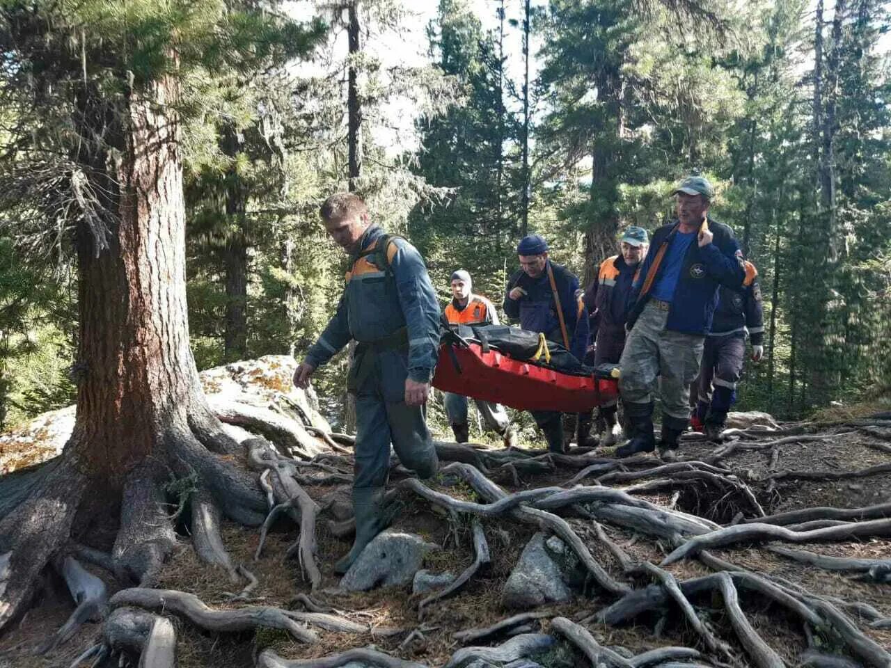 Медведь загрыз человека фото Голодный медведь загрыз ребенка в Красноярском крае 21 июня