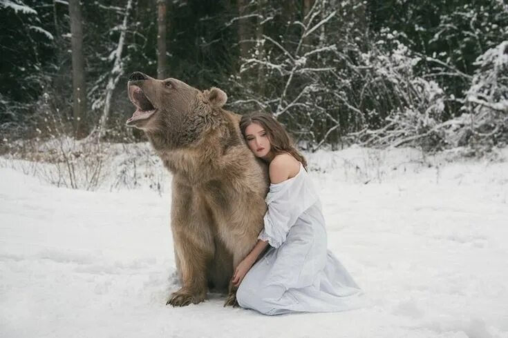 Медведь женщина фото Разное Медведь, Фотографии, Дикие животные
