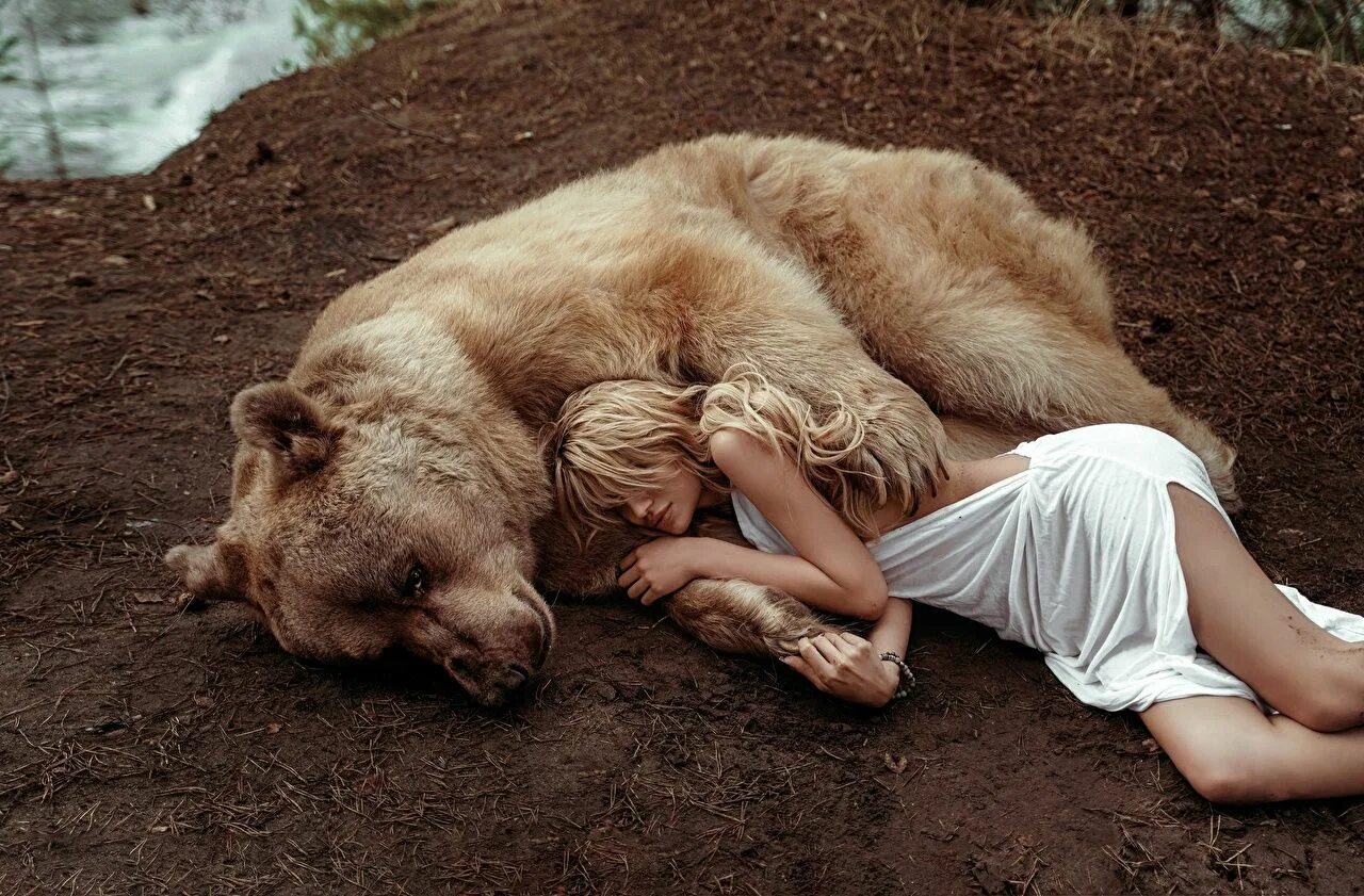 Медведь женщина фото Pin by Ava Stoller on Art in 2022 Animals friendship, Bear paintings, Bear image