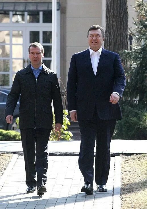 Медведев в полный рост фото Dmitry Medvedev met with President of Ukraine Viktor Yanukovych * President of R