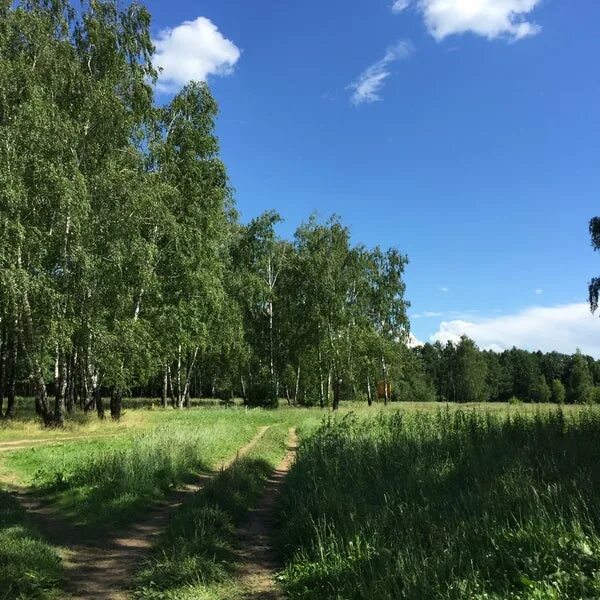 Медведевский лес орел медведевский лес фото Photos at Медведевский лес - 5 tips from 138 visitors