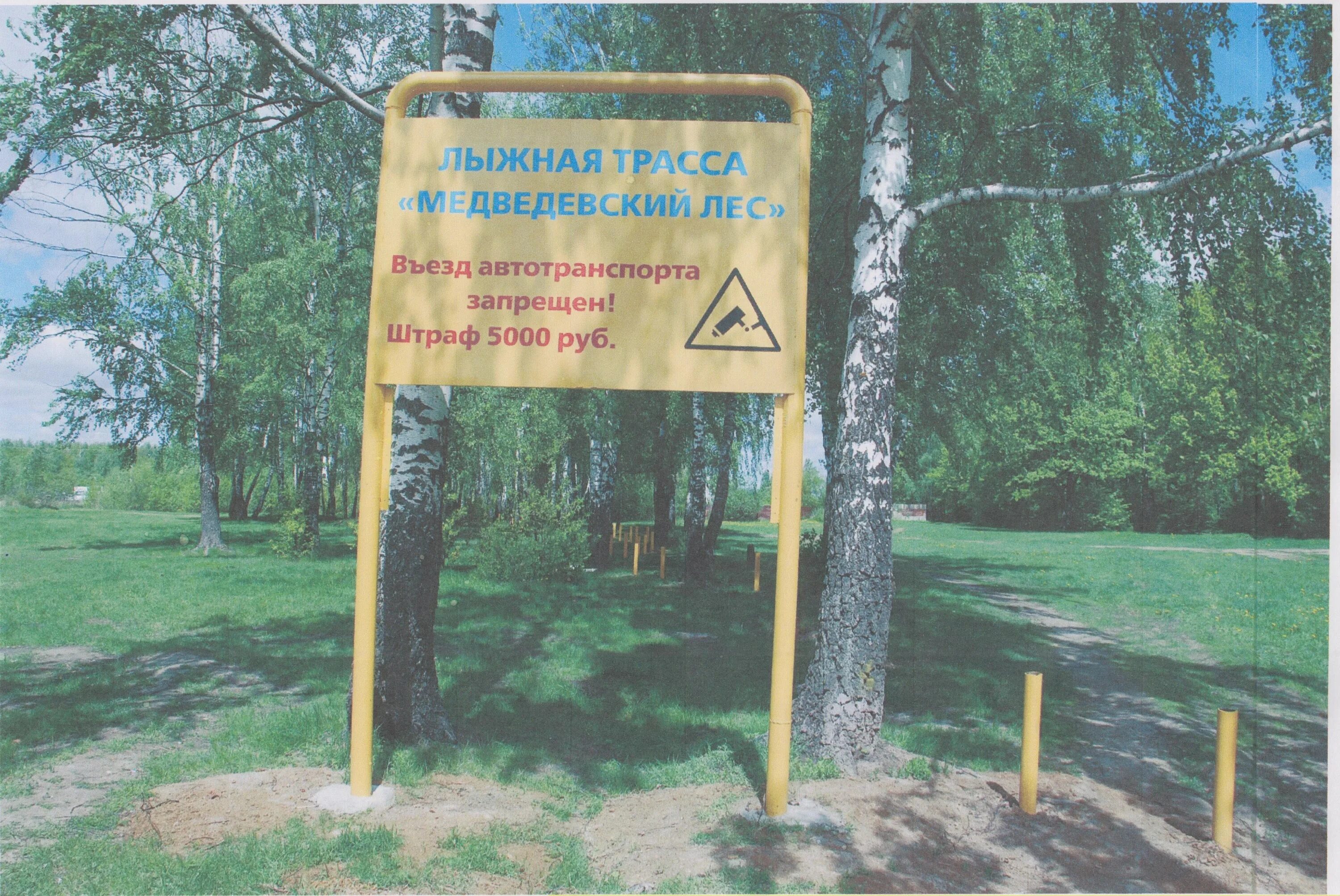 Медведевский лес орел медведевский лес фото Медведевский лес Орел (77 фото)