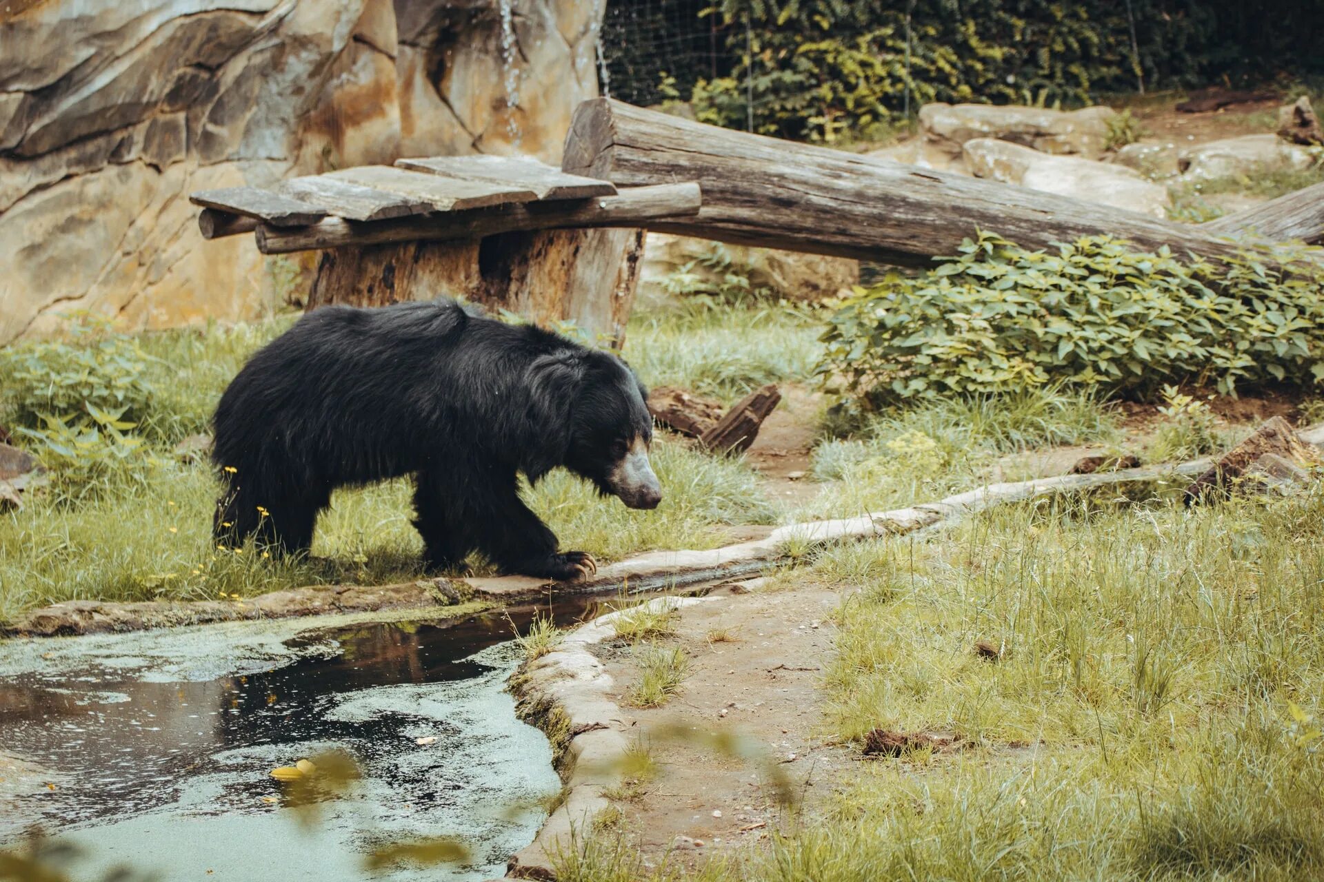 Медведи мира фото Zoo Tickets 2024 Buy Zoo Tickets Online