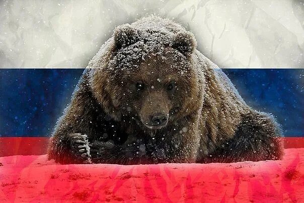 Медведи россии фото с названиями Спільнота Steam :: :: Сибирь