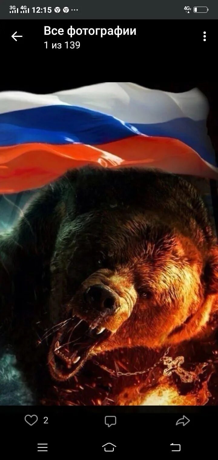 Медведи россии фото с названиями Российский медведь - 56 фото