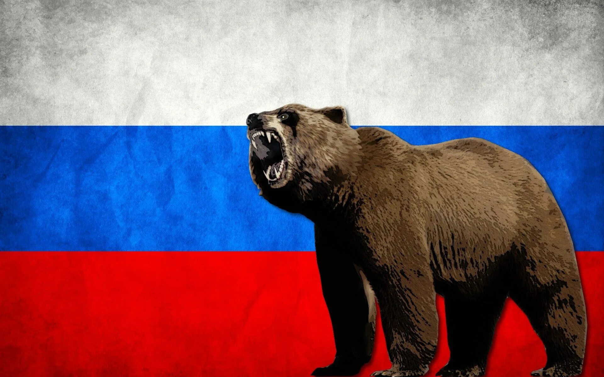 Медведи россии фото с названиями #bears #flag #Russia #Russian #1080P #wallpaper #hdwallpaper #desktop Russia, Ea