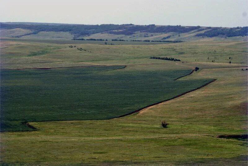 Медведицкая гряда в волгоградской области фото Почему пропадают люди на границе Волгоградской и Саратовской областей? Аномальны