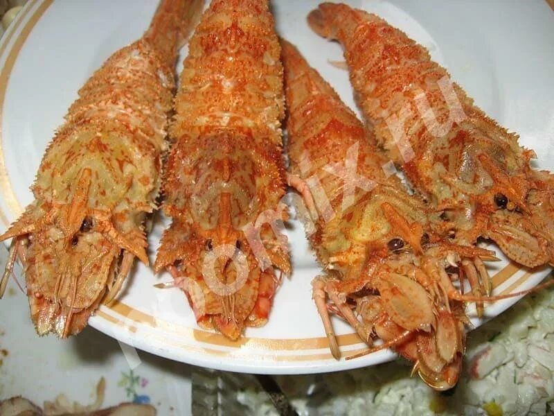 Медведка морская фото Медведка крупная Медведка средняя Медведка мелкая Креветка ..., Республика Карел