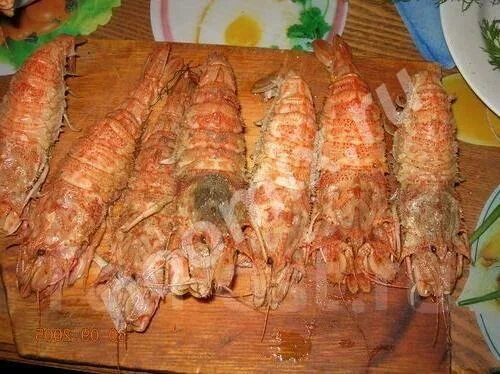 Медведка владивосток фото Медведка приморская парная, свежайшая, вкуснейшая. Приморский край