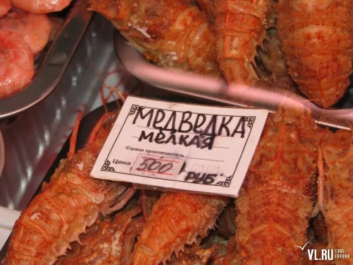 Медведка владивосток фото медведка)) - Сообщество "Сделай Сам" на DRIVE2