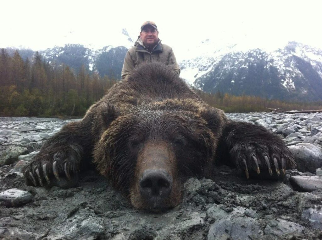 Медведя поднимают краном фото Barela's Alaska Outfitters - Fin and Field Blog