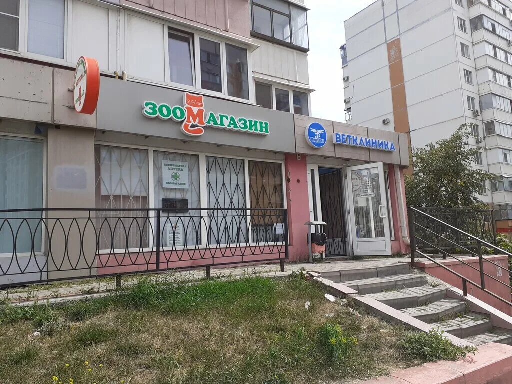 Медвет31 гостенская ул 10 белгород фото Зоомаг, pet shop, Belgorod, Gostenskaya ulitsa, 12 - Yandex Maps