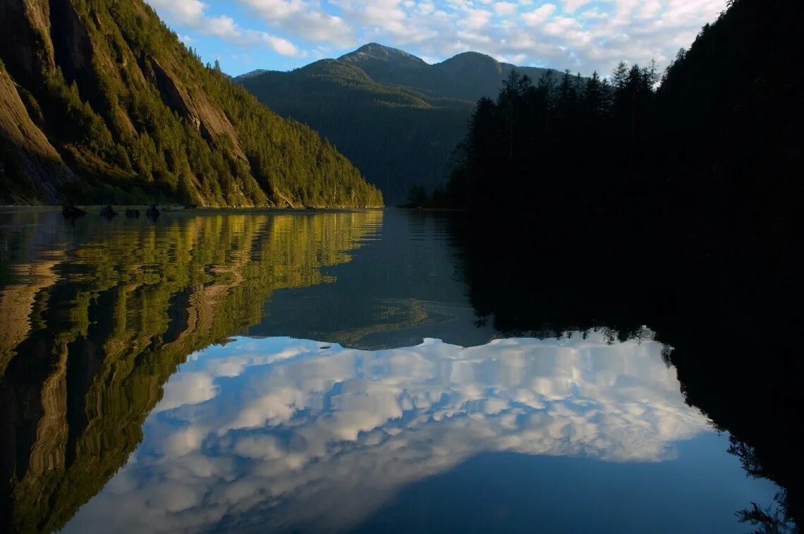 Медвежье озеро фото отзывы Canada's Great Bear Rainforest has been saved from destruction