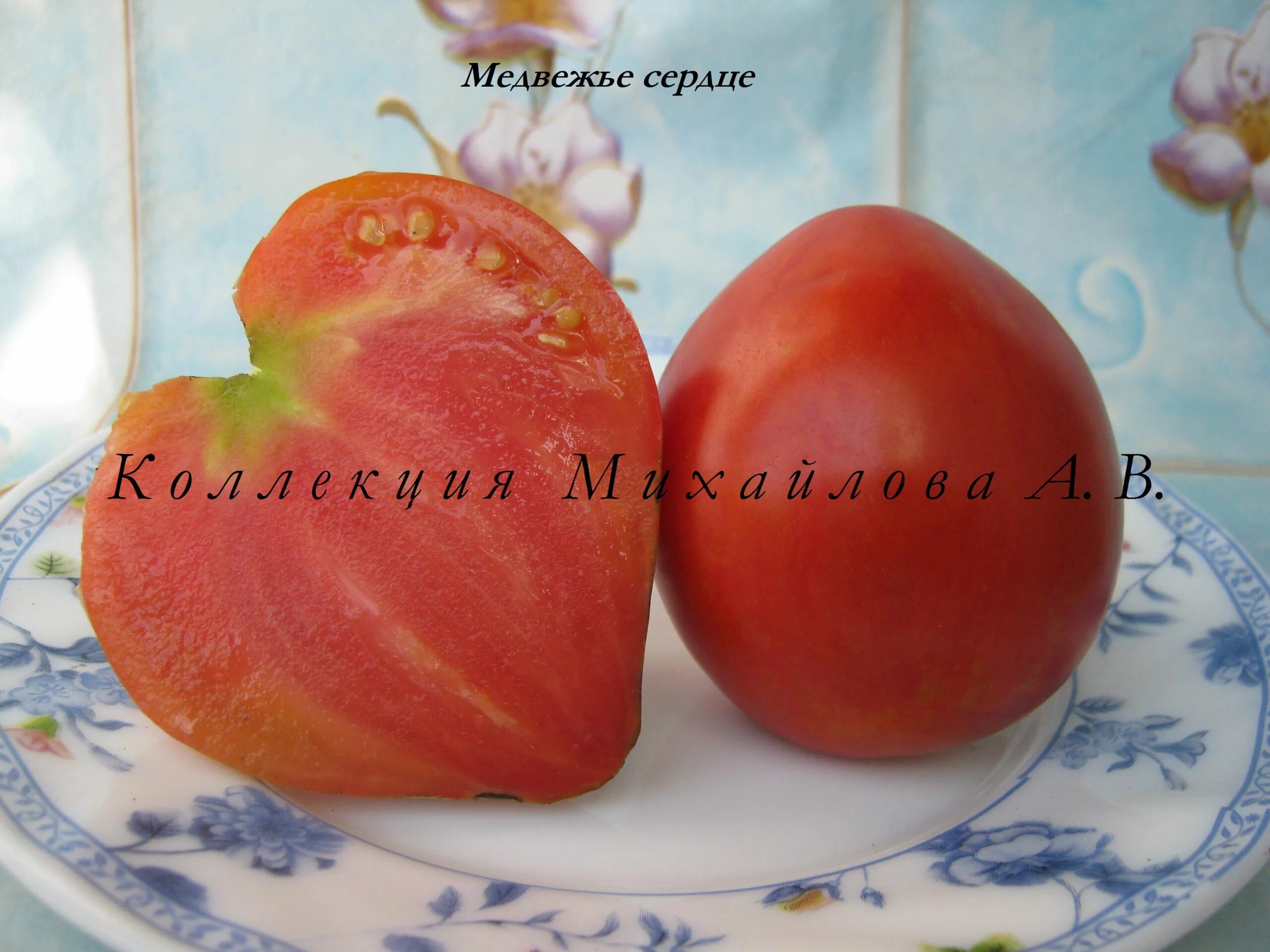 Медвежье сердце фото Медвежье сердце