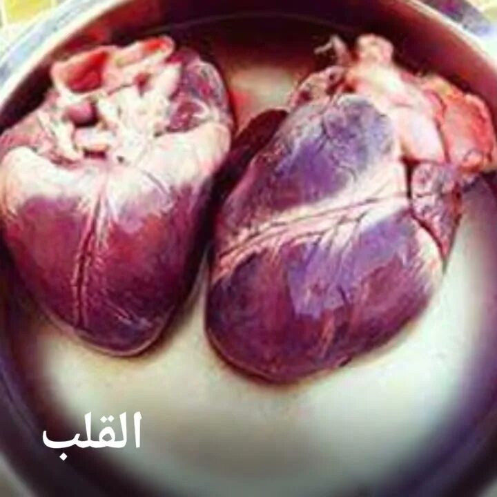 Медвежье сердце фото جسم الإنسان من الداخل(الجزء الاول ) - YouTube
