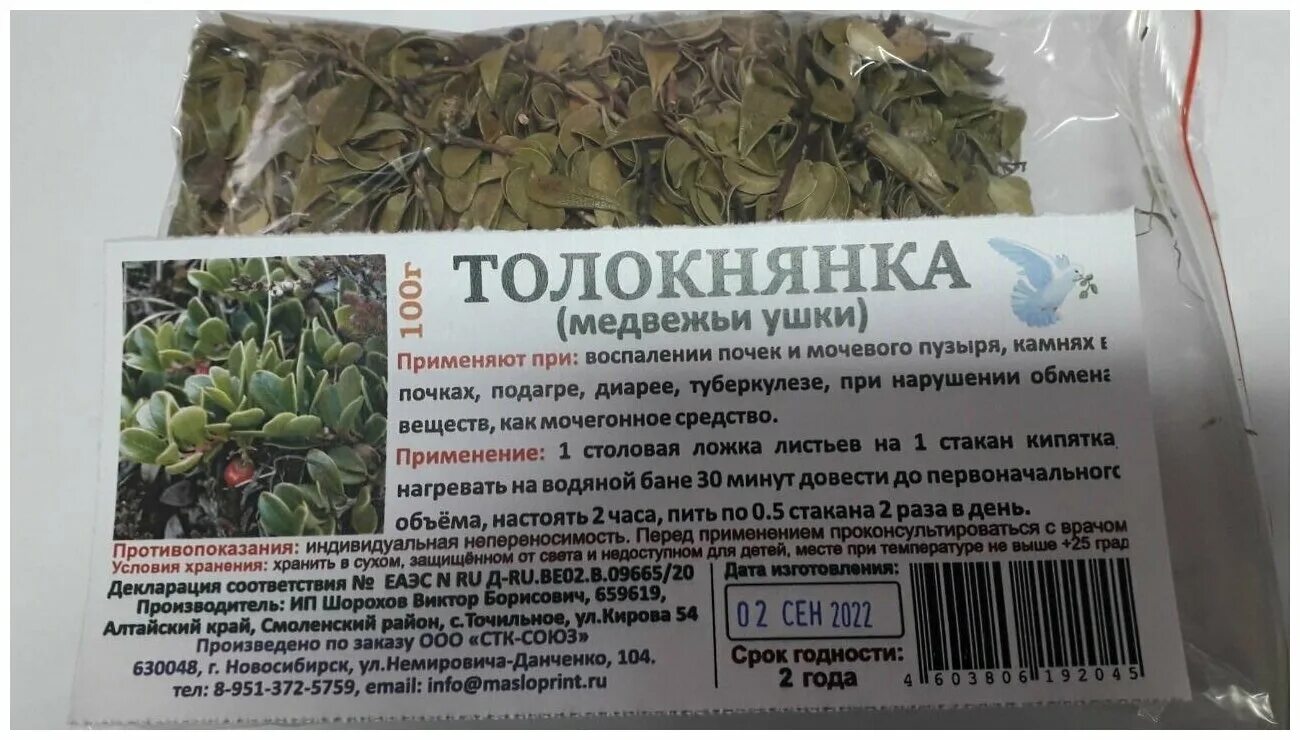 Медвежье ухо растение фото и описание Медвежьи ушки трава - купить по низкой цене на Яндекс Маркете