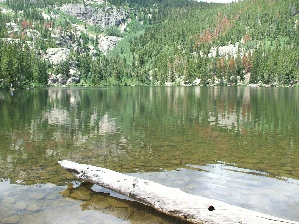 Медвежьи озера фото Bear Lake in Yellowstone Park free image download