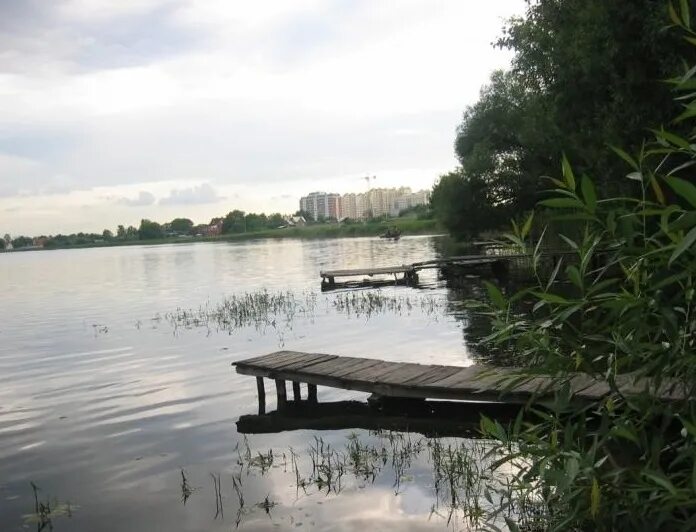 Медвежьи озера московская область фото Качество воды в трех озерах Нижнего Новгорода соответствует нормам
