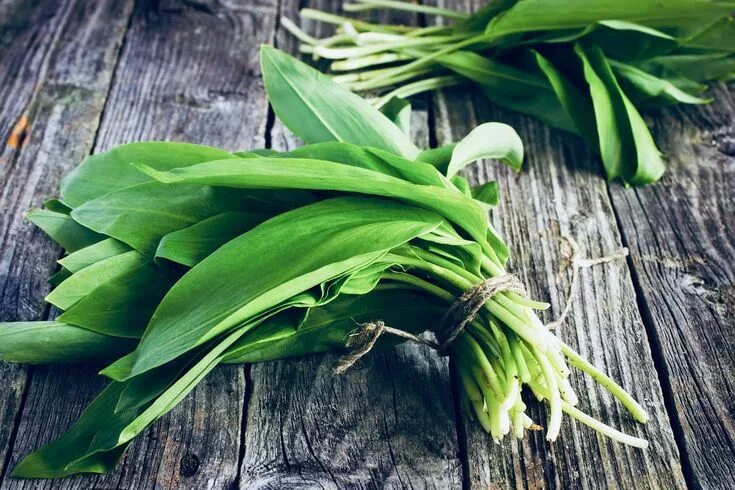 Медвежий лук черемша фото Bärlauch-Saison! Was du alles fürs Sammeln wissen solltest. Recipe Wild garlic, 