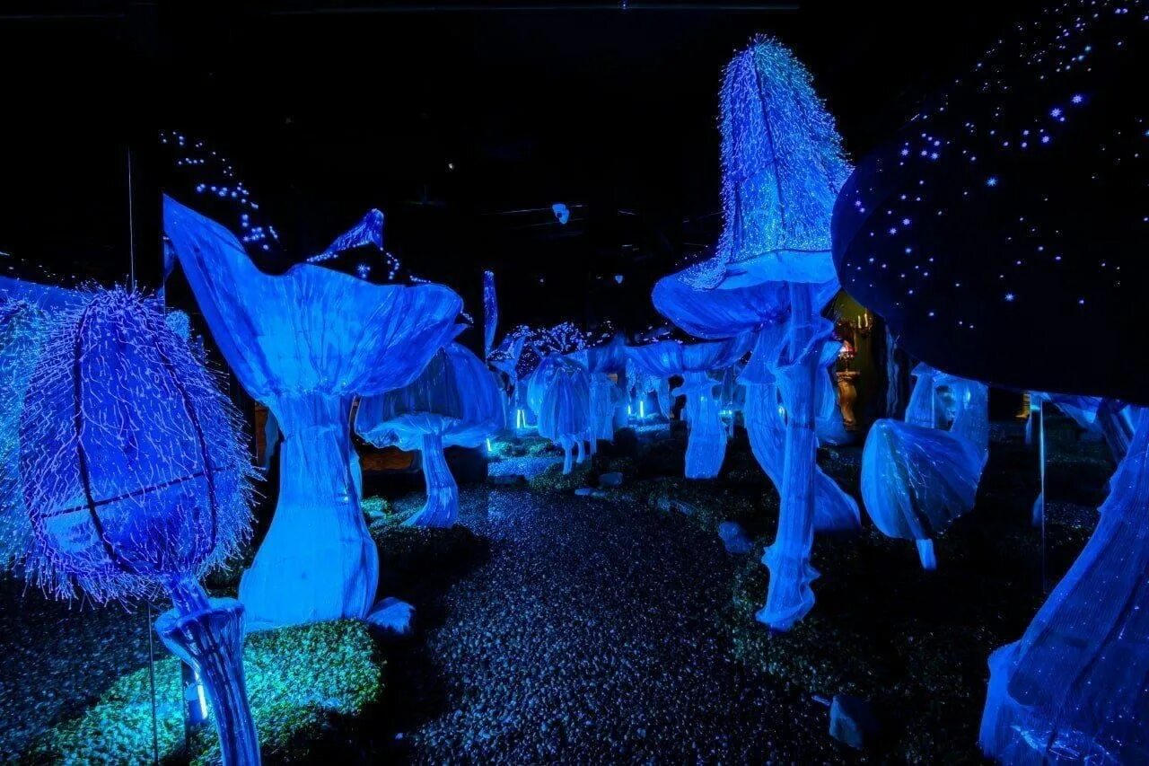 Мэджик парк сочи фото Экспозиция Magic Park 2022, Сочи - дата и место проведения, программа мероприяти