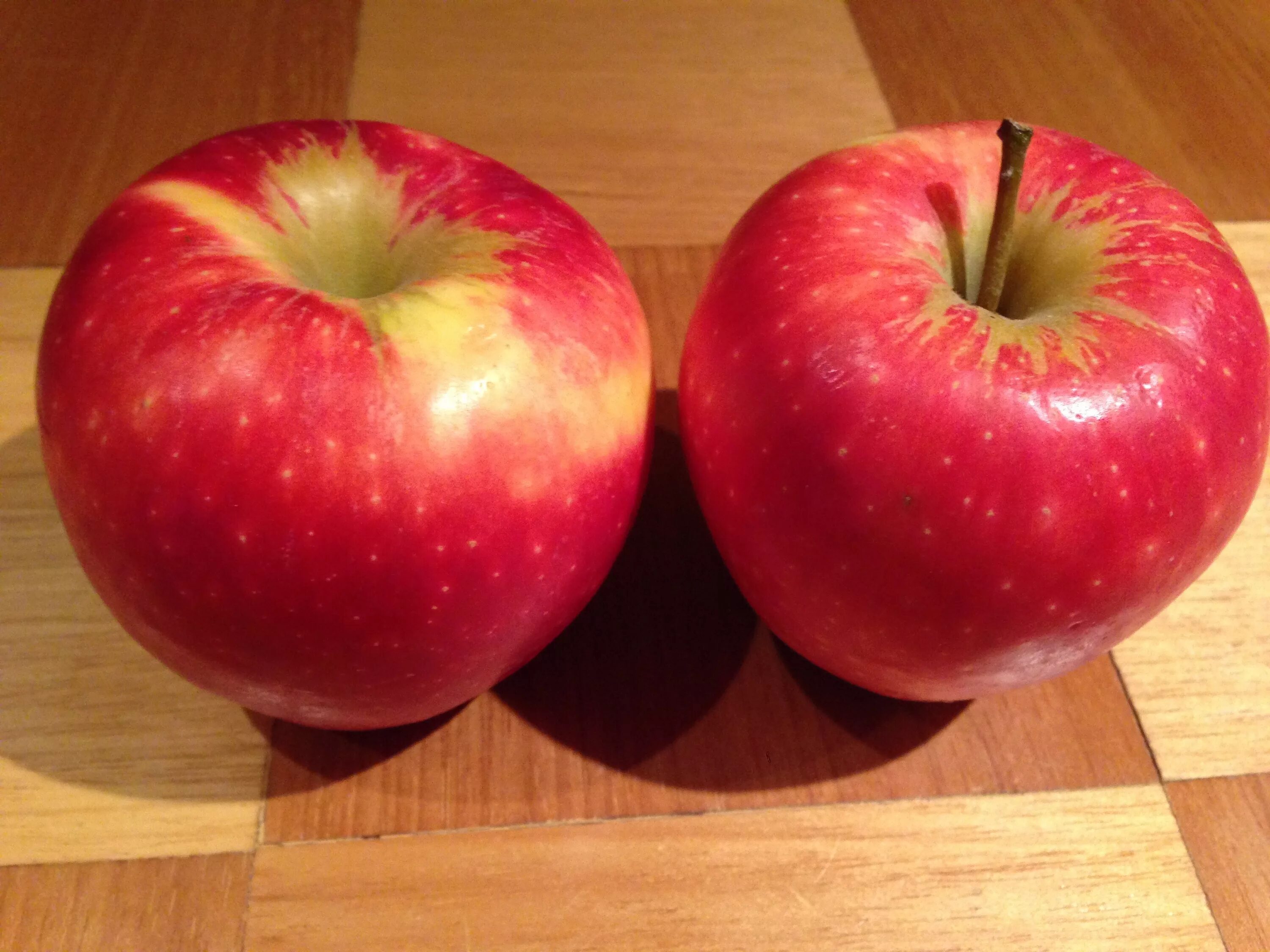 Мэджик стар сорт яблок фото Star Apple Review - Selective Elective
