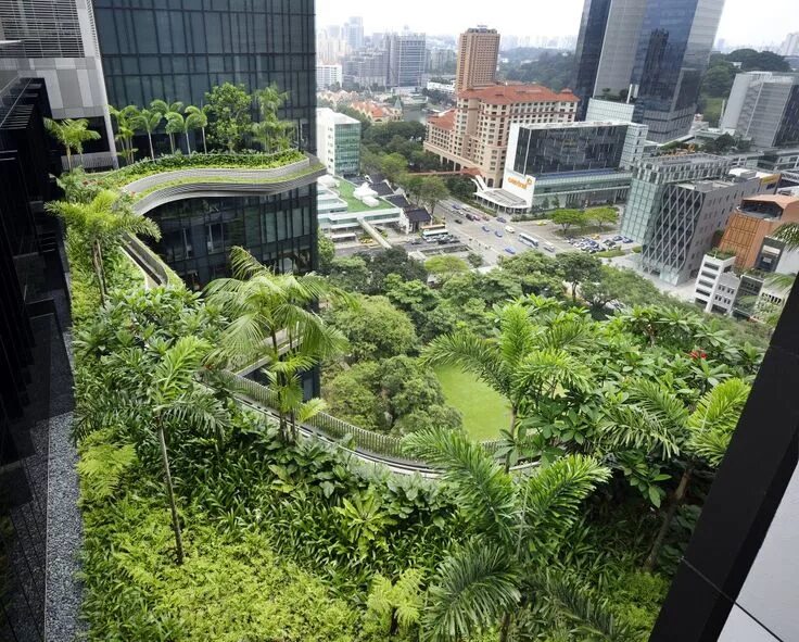 Мегаполис зеленый фото Gallery of PARKROYAL on Pickering / WOHA - 19 Urban garden, Gardens of babylon, 