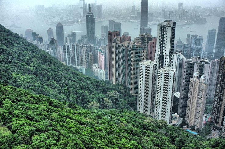 Мегаполис зеленый фото hills of hong kong Hong kong building, Landscape photos, Landscape photography