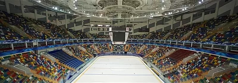 Мегаспорт арена фото с секторами Мегаспорт Дисконт Киров - Zencok.ru