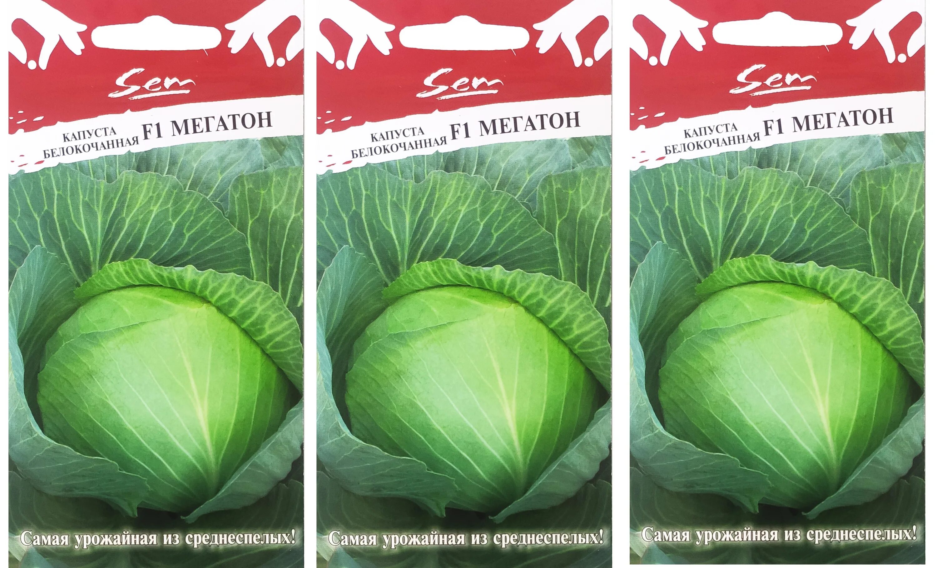Мегатон капуста купить отзывы и фото Капуста НК-Русский огород кнк_2006 - купить по выгодным ценам в интернет-магазин
