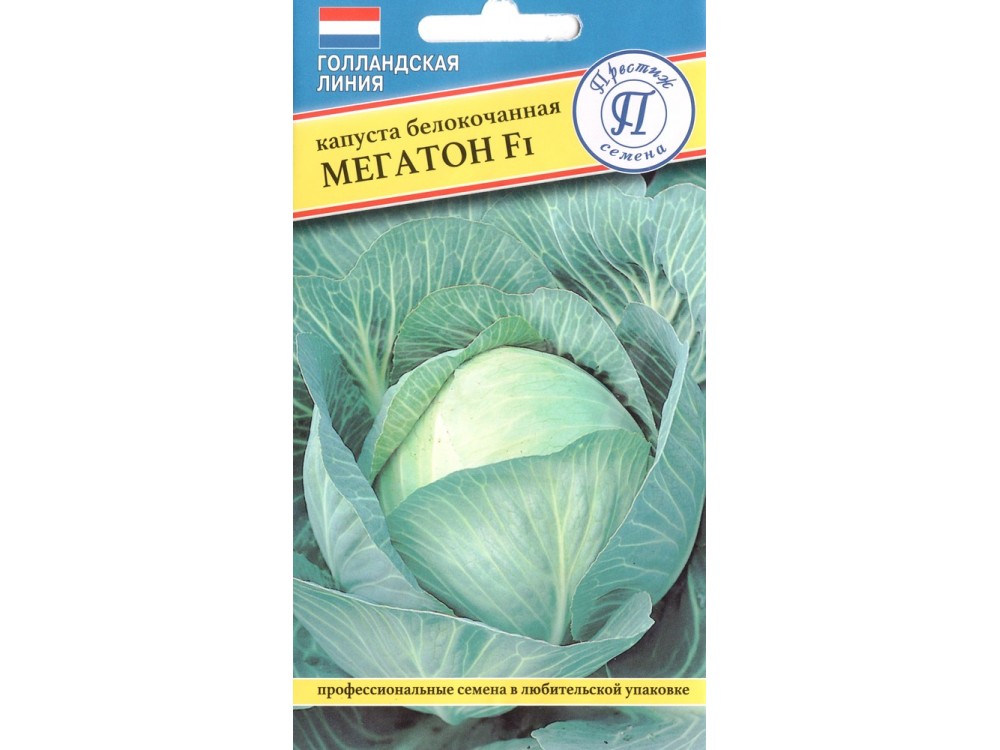 Мегатон капуста купить отзывы и фото Капуста (белокочанная) Мегатон F1 10шт #Престиж