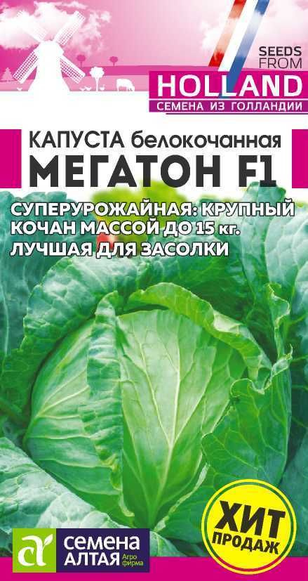 Мегатон капуста купить отзывы и фото Семена Алтая капуста - купить по выгодным ценам в интернет-магазине OZON (144038