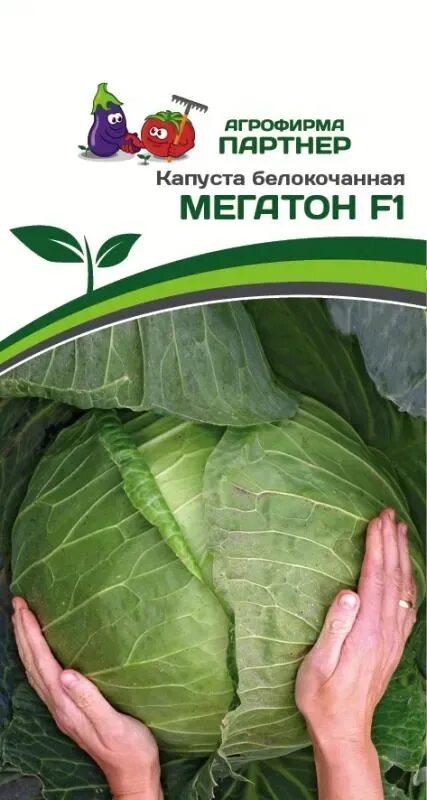 Мегатон капуста купить отзывы и фото Капуста белокочанная Мегатон F1, 10шт Партнер - купить в Тюмени в садовом центре