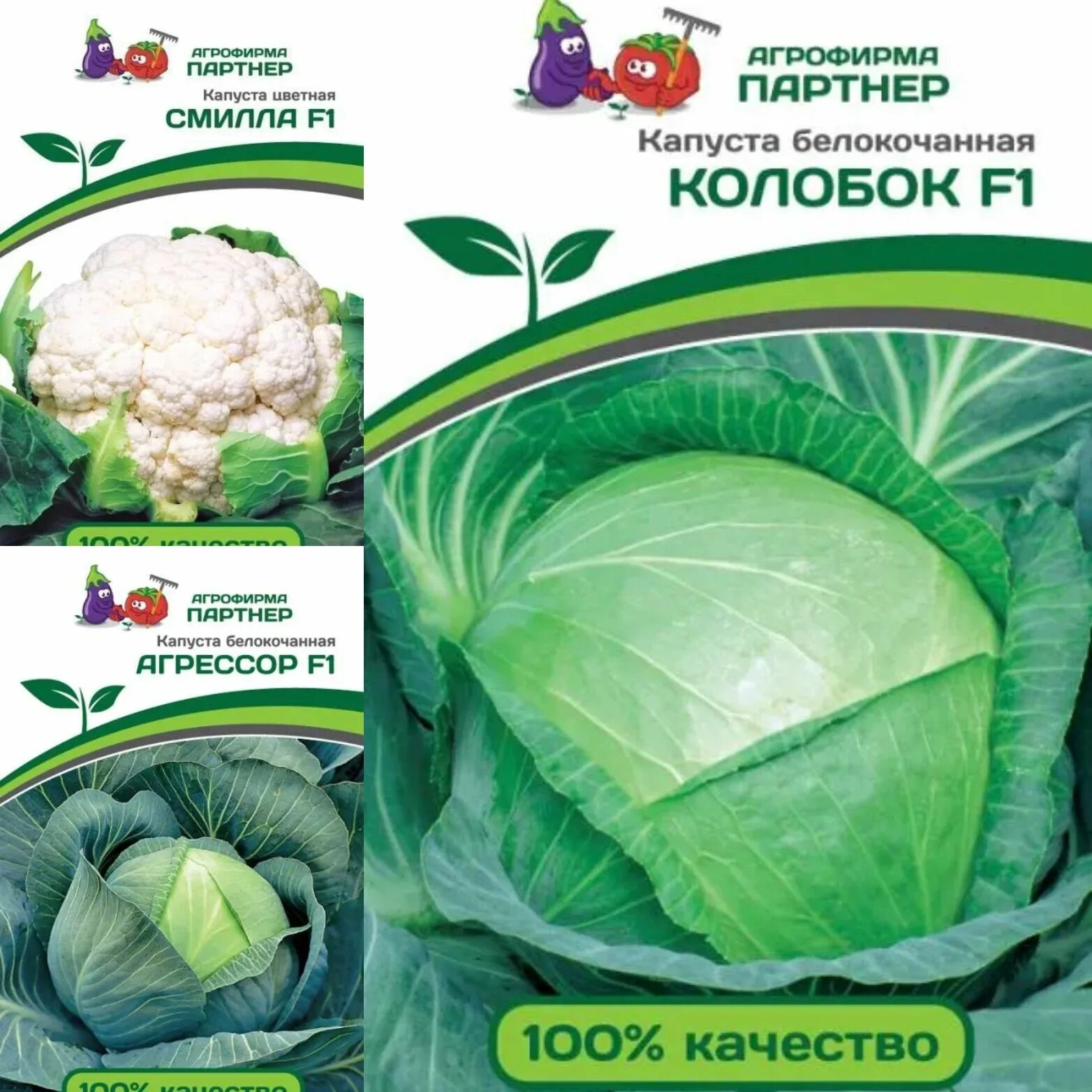 Мегатон капуста купить отзывы и фото Капуста Партнер - купить по выгодным ценам в интернет-магазине OZON