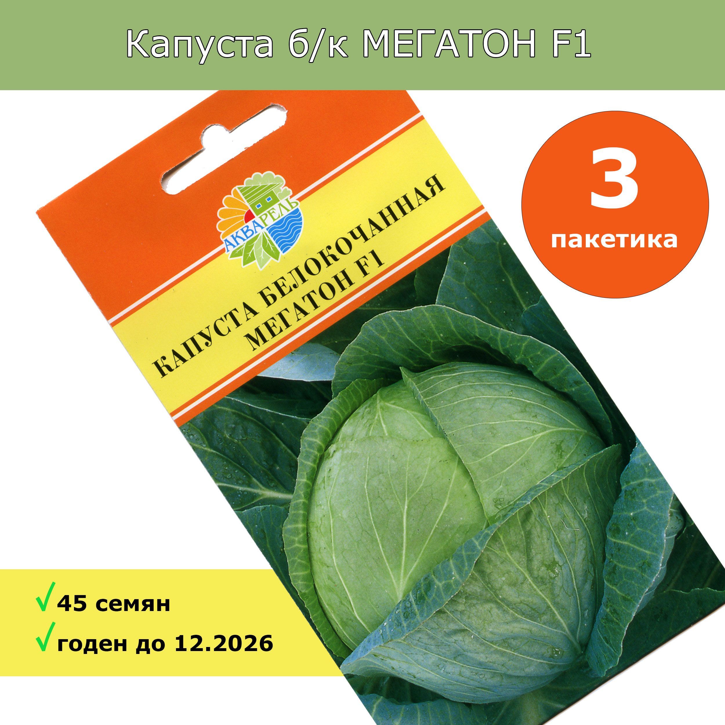 Мегатон капуста купить отзывы и фото Капуста Акварель Мегатон F1 - купить по выгодным ценам в интернет-магазине OZON 