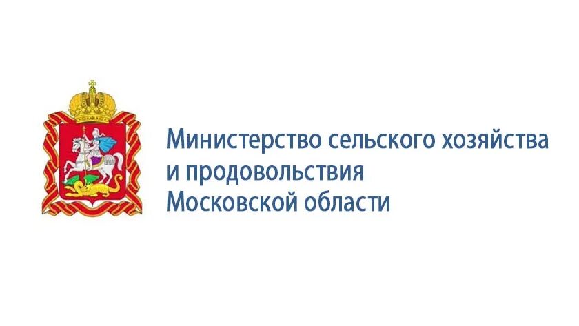 Министерство спорта московской области фото Новости / Администрация городского округа Красногорск Московской области