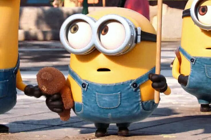 Миньон боб фото Pin by Sasha Narvaez on MINION Minions bob, Cute minions, Minions wallpaper